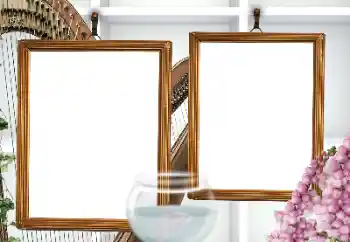 Photo effect from category Different № 155807 Photo effect from category Different № 155807