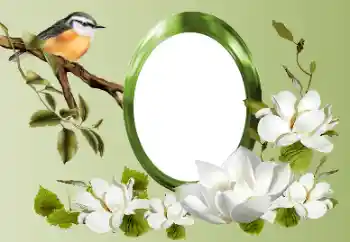 Photo effect from category Different № 155868