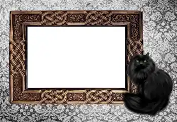 Photo effect from category Different № 155997