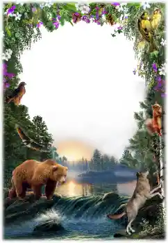 Photo effect from category Different № 157061