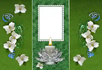 Photo effect from category Different № 157116