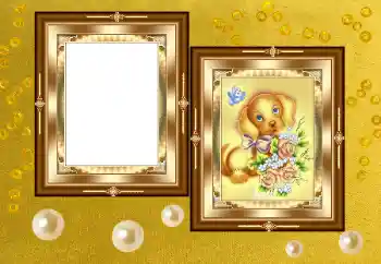 Photo effect from category Different № 158391