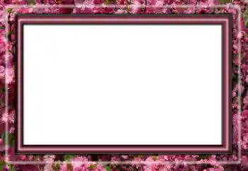 Photo effect from category Different № 158431