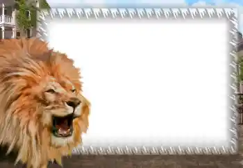 Photo effect from category Different № 158462