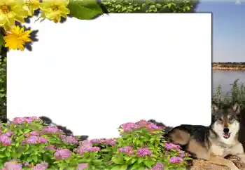 Photo effect from category Different № 159462