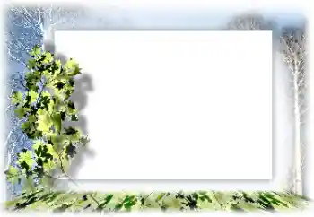 Photo effect from category Different № 160744