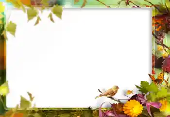 Photo effect from category Different № 160773