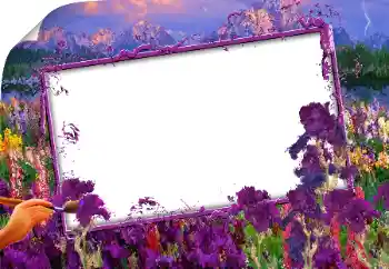 Photo effect from category Different № 160843