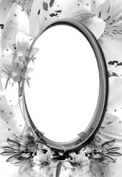 Photo effect from category Different № 160896