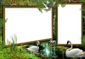 Photo effect from category Different № 160922