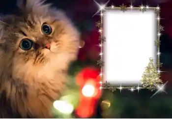 Photo effect from category Different № 162030