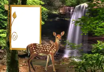 Photo effect from category Different № 163220