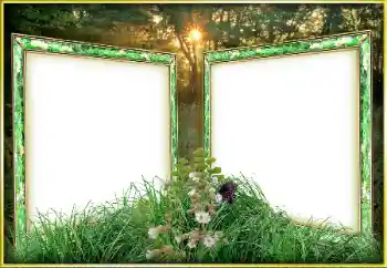 Photo effect from category Different № 163263