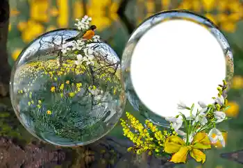 Photo effect from category Different № 163601 Photo effect from category Different № 163601