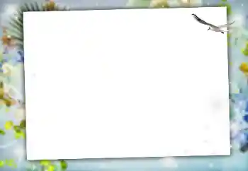 Photo effect from category Different № 164634 Photo effect from category Different № 164634