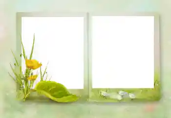 Photo effect from category Different № 164751