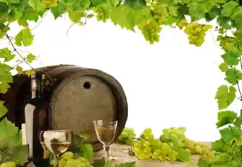 Photo effect from category Different № 164780