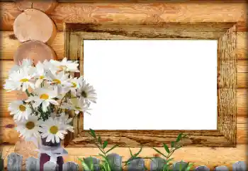 Photo effect from category Different № 164792 Photo effect from category Different № 164792