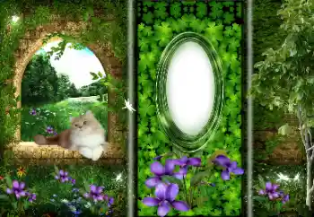 Photo effect from category Different № 166033 Photo effect from category Different № 166033