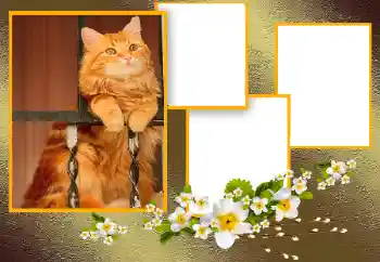 Photo effect from category Different № 166093 Photo effect from category Different № 166093