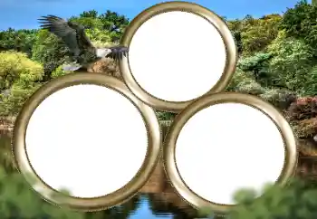 Photo effect from category Different № 167860 Photo effect from category Different № 167860