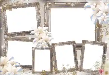 Photo effect from category Different № 169031 Photo effect from category Different № 169031