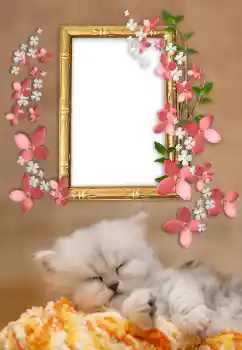 Photo effect from category Different № 169232