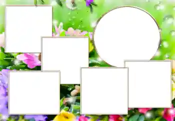 Photo effect from category Different № 169279