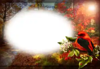 Photo effect from category Different № 170400