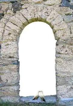 Photo effect from category Different № 171681 Photo effect from category Different № 171681