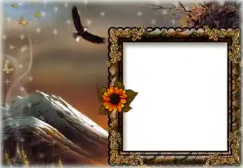 Photo effect from category Different № 172844 Photo effect from category Different № 172844