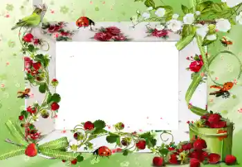 Photo effect from category Different № 172917 Photo effect from category Different № 172917