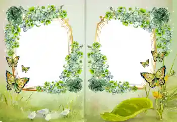 Photo effect from category Different № 172968