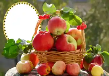 Photo effect from category Different № 173030