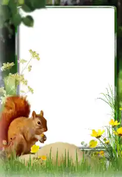 Photo effect from category Different № 174270 Photo effect from category Different № 174270