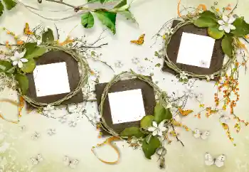 Photo effect from category Different № 175577 Photo effect from category Different № 175577