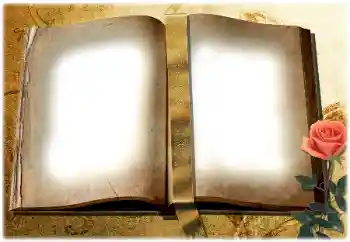 Photo effect from category Different № 180729 Photo effect from category Different № 180729