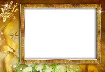 Photo effect from category Different № 180739 Photo effect from category Different № 180739