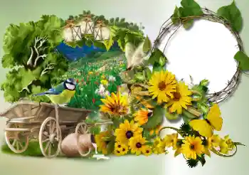 Photo effect from category Different № 180773 Photo effect from category Different № 180773