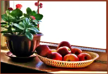 Photo effect from category Different № 180838 Photo effect from category Different № 180838