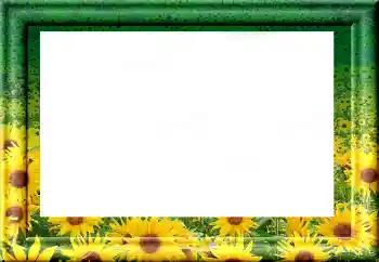 Photo effect from category Different № 1816