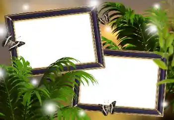 Photo effect from category Different № 181982