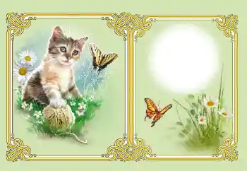 Photo effect from category Different № 182126