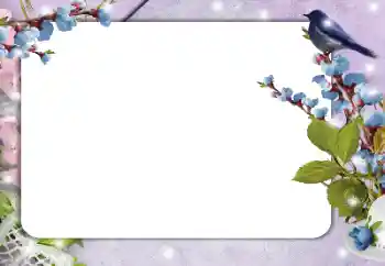 Photo effect from category Different № 182214 Photo effect from category Different № 182214