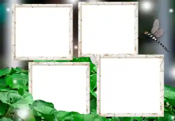 Photo effect from category Different № 182236 Photo effect from category Different № 182236