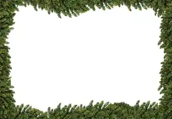 Photo effect from category Different № 183301 Photo effect from category Different № 183301