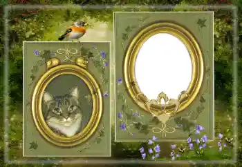 Photo effect from category Different № 183530 Photo effect from category Different № 183530