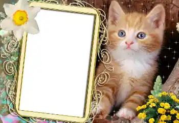 Photo effect from category Different № 1842