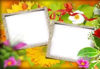 Photo effect from category Different № 184580 Photo effect from category Different № 184580