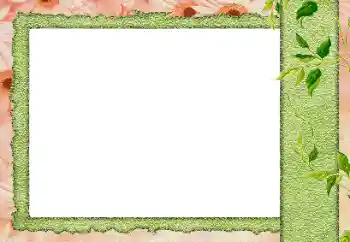 Photo effect from category Different № 184589 Photo effect from category Different № 184589